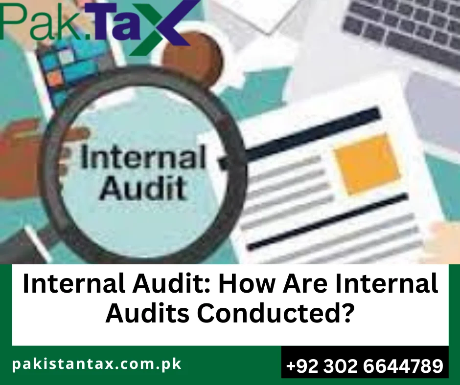 Internal audit process